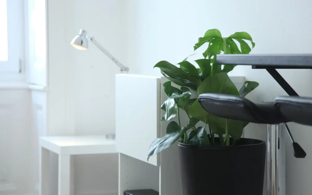 Dfive Apartments - Pearl