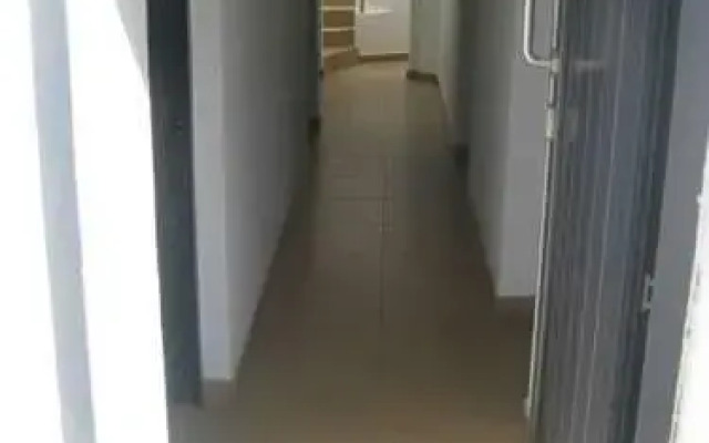 Senzu