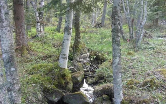 Gîte Champclause, 4 pièces, 6 personnes - FR-1-582-272