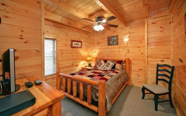 Beary Cozy