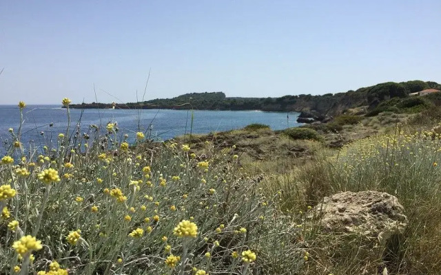 Loggos Summer House
