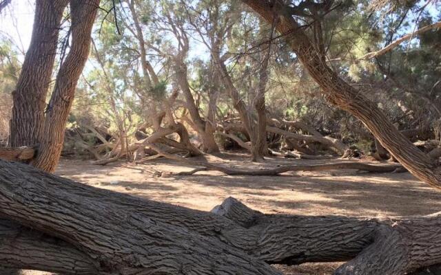 Hamitzpa- Desert Hosting in Ezuz