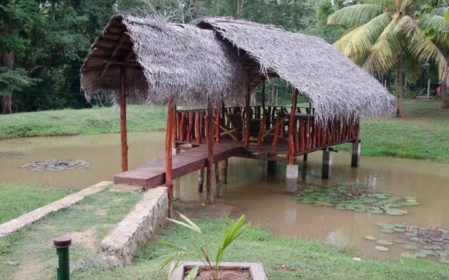 Elephant Paradise Safari Lodge