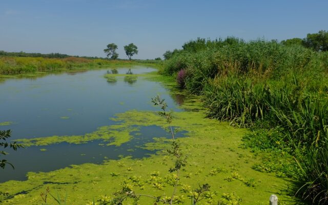 Roulotte La Nanouche