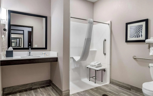 Comfort Suites McDonough Atlanta South