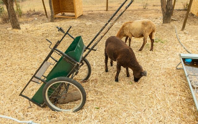 Reflexos d'Alma Turismo Rural