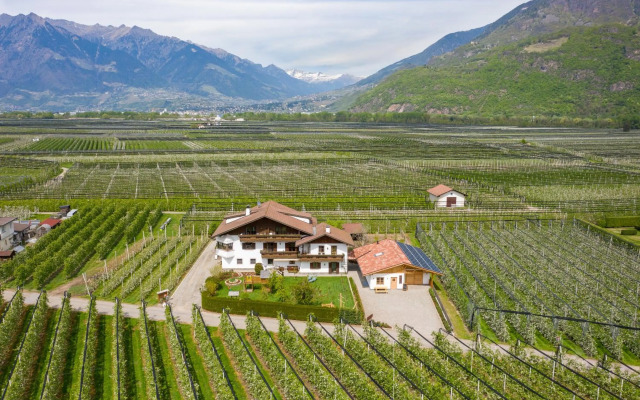 Kammerhof Apartment Apfel