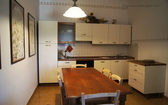 Agriturismo Signorini