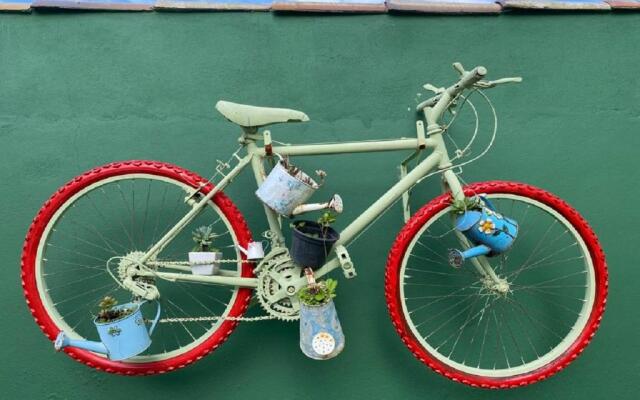 Toca da Coruja King House