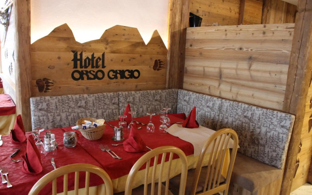 Orso Grigio