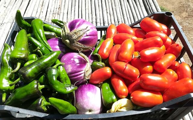 Masseria Fracchicchi