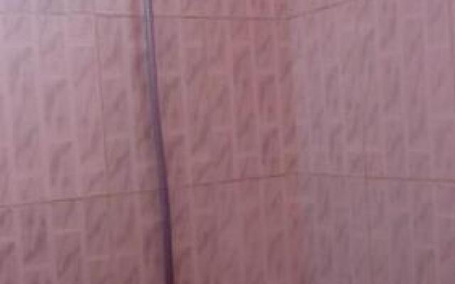 Le Lion Des Flandres