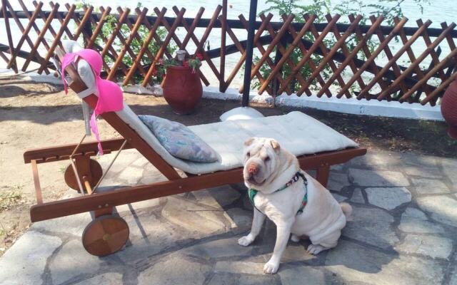 Beutiful House on the Beach in Vourvourou, Greece