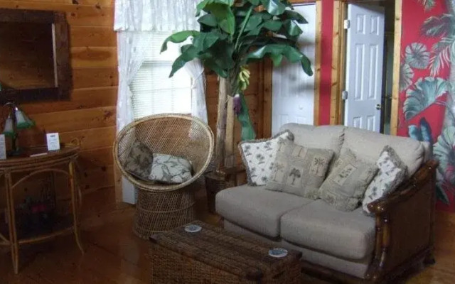 Black Forest B&B and Luxury Cabins
