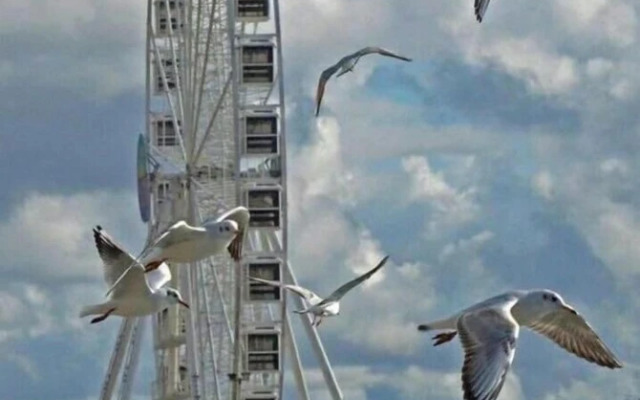 Oasi Al Centro con Parcheggio