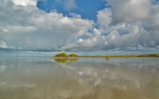 Wonderful and Spacious Apartment