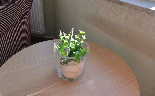 Hotel Ortel