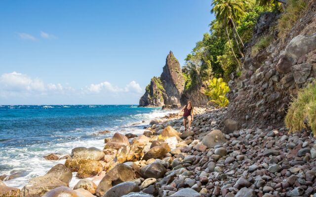 Picard Beach Cottages