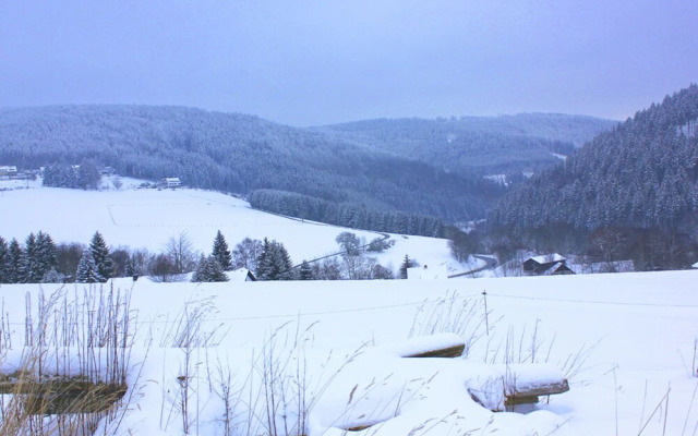 Sophisticated Holiday Home in Schwalefeld near City Center