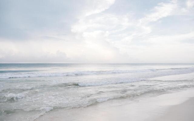 Nest Tulum