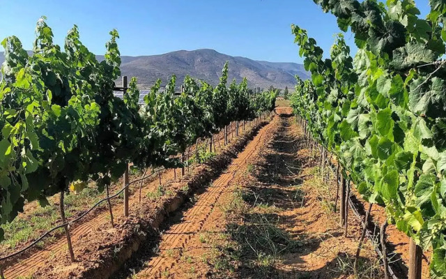 Casa Urbina Wine Resort