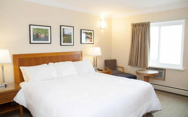 Twin Pine Inn & Suites