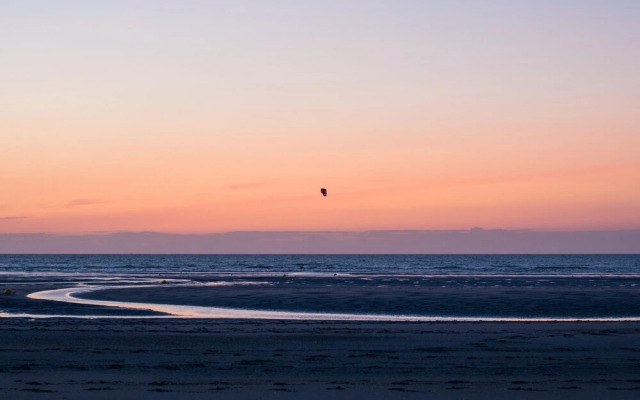 Ster Der Zee On Sea Shore