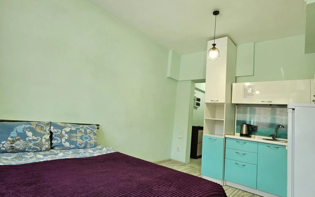 Апартаменты на улице Пискунова 148/4