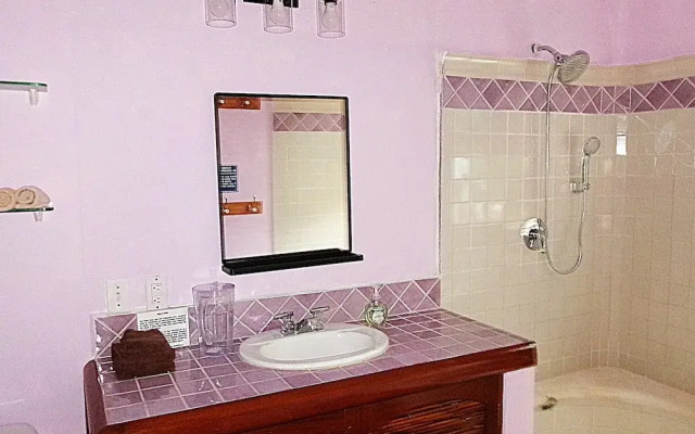 Casa Gatos