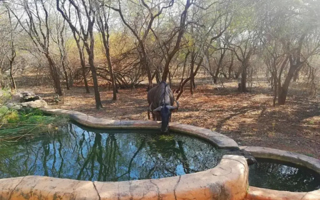 KaiZen Honeybadger Lodge