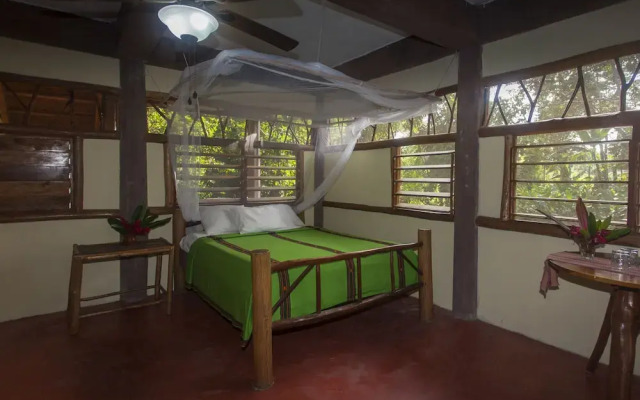 Cotton Tree Lodge