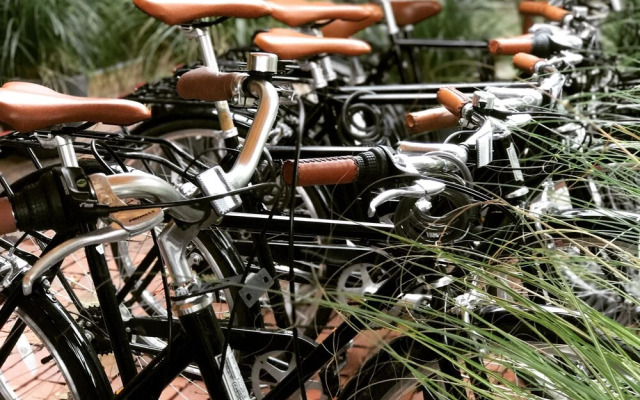 American Beech Hotel