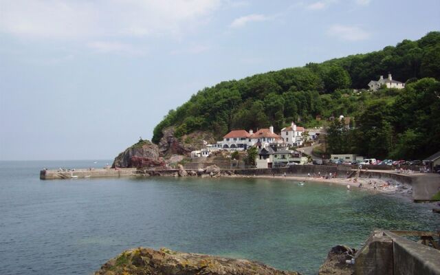 Babbacombe Palms