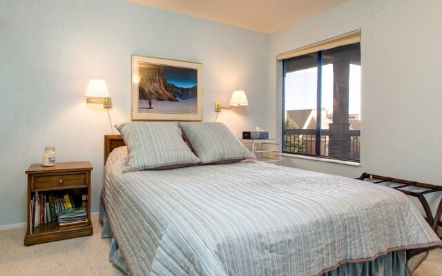 Classic 1BR Mountain Condo by RedAwning