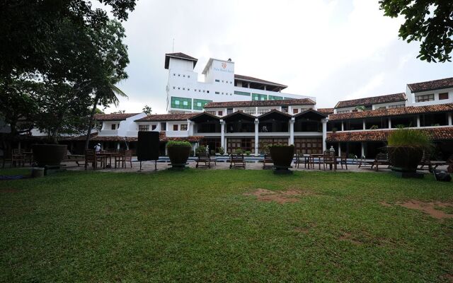 Palms, Mount Lavinia