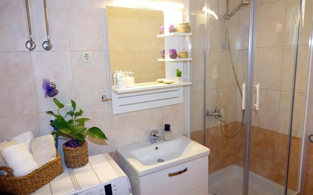 Apartment Ljubav - with parking : A1 Makarska, Riviera Makarska