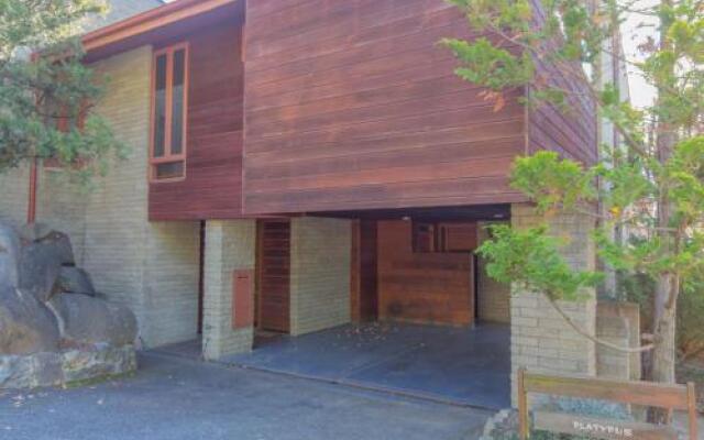 Platypus 19 McLure Circuit