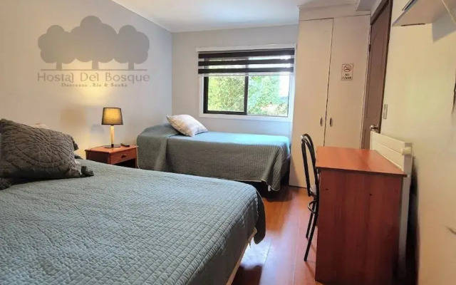 Hostal Del Bosque Temuco