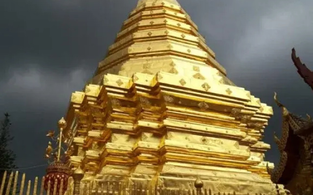 Funky Monkey Guesthouse & Tours