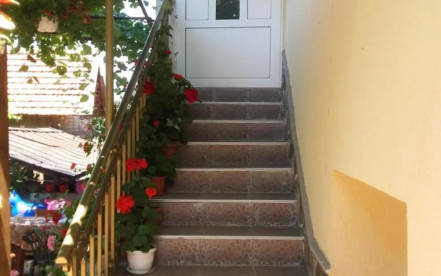 Viktoria House
