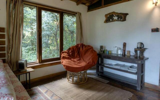 Jungle Lore Birding Lodge