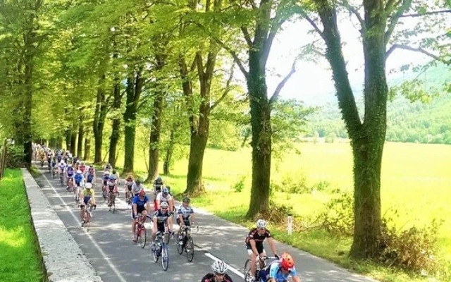 Apartment Honey Bee with Sauna