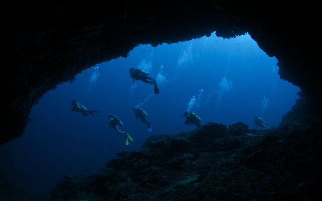 Liquid Dive Resort