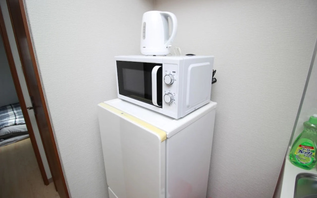 Saint Paulia Osaka Castle