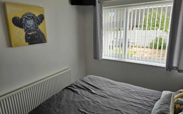 Modern, Spacious Walking Distance to Castle & Town