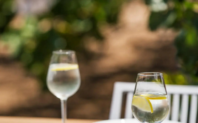 Aneli Villas - Villa Aegina