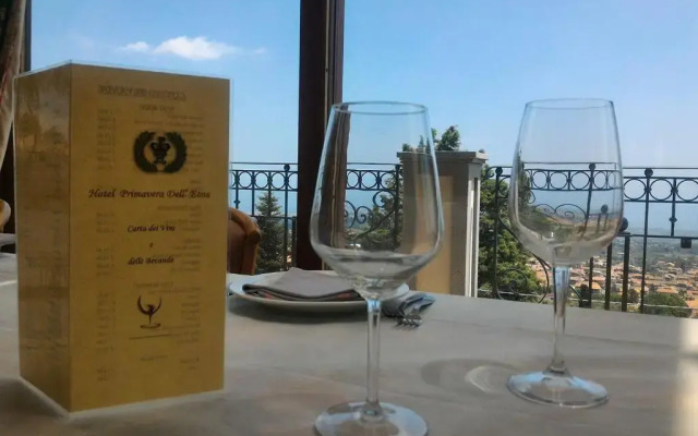 Hotel Primavera dell'Etna