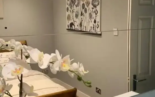Stunning 1-bed Apartment in London