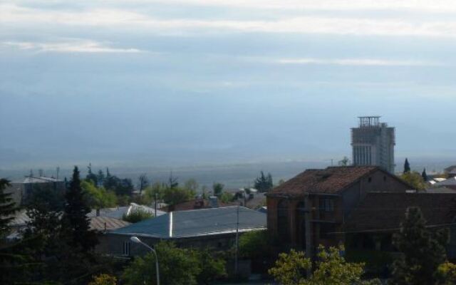 Hotel Neli Telavi