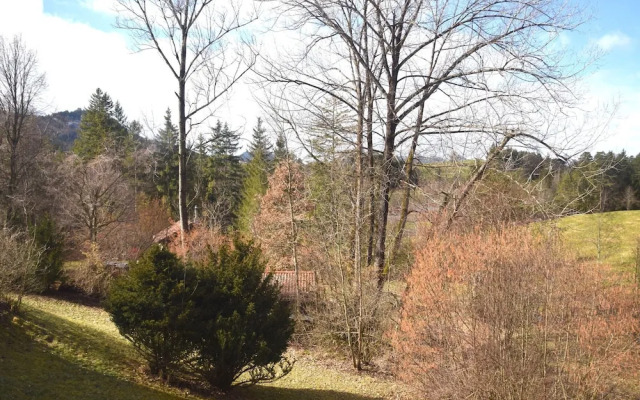 Lakeside Comfort in Fussen